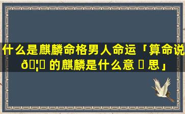 什么是麒麟命格男人命运「算命说 🦄 的麒麟是什么意 ☘ 思」